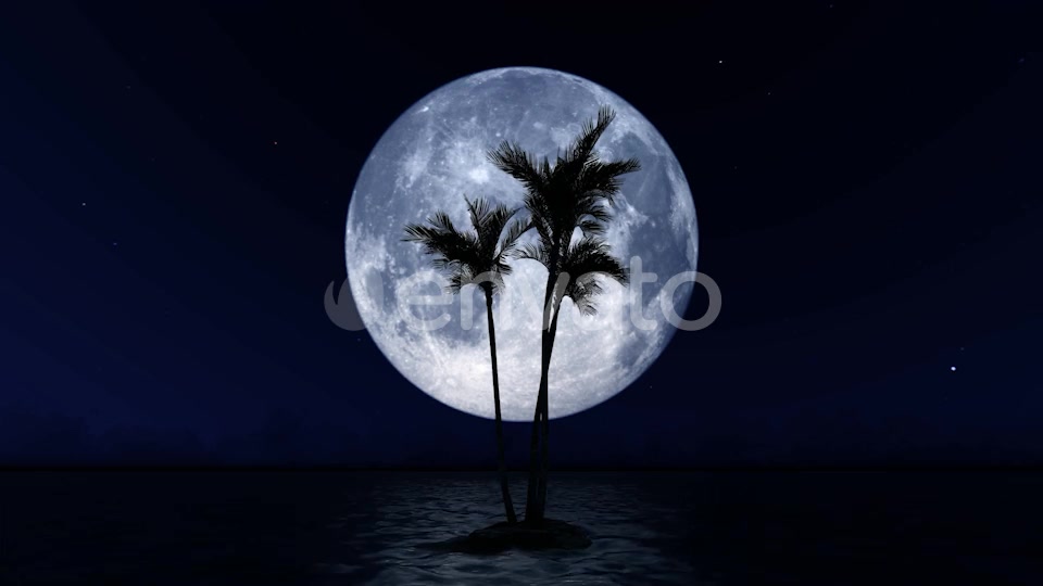Big Moon and Palm Tree Videohive 23781775 Motion Graphics Image 8