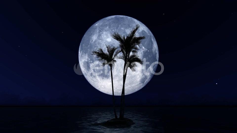 Big Moon and Palm Tree Videohive 23781775 Motion Graphics Image 9