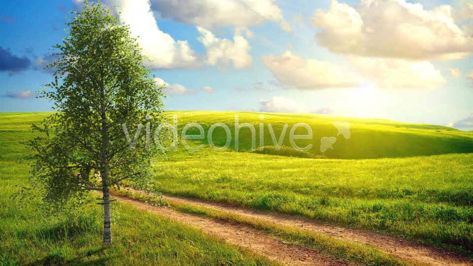Birch Tree V2 Videohive 4613853 Motion Graphics Image 3