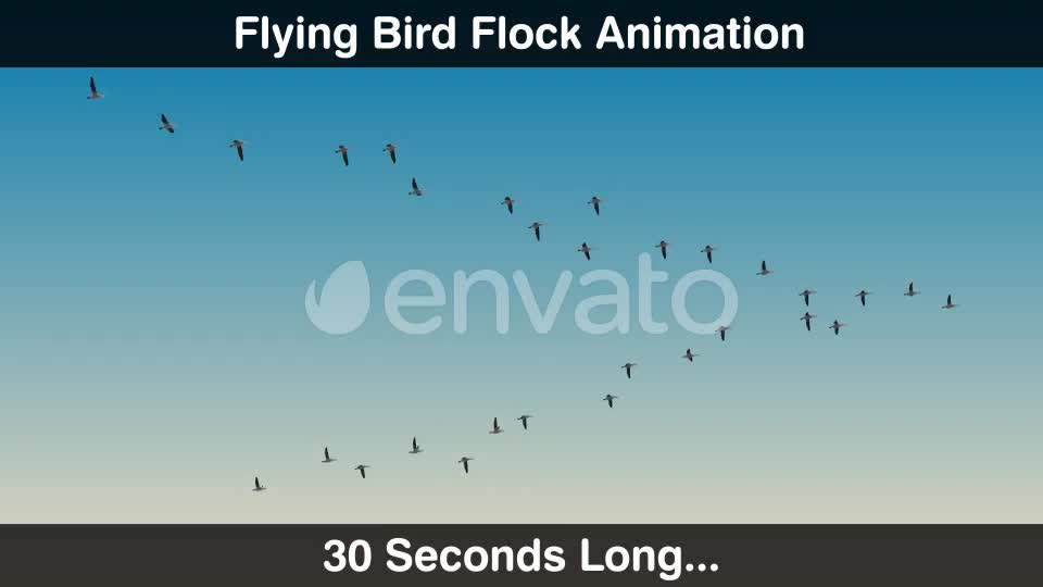Bird Flock Videohive 22669810 Motion Graphics Image 1