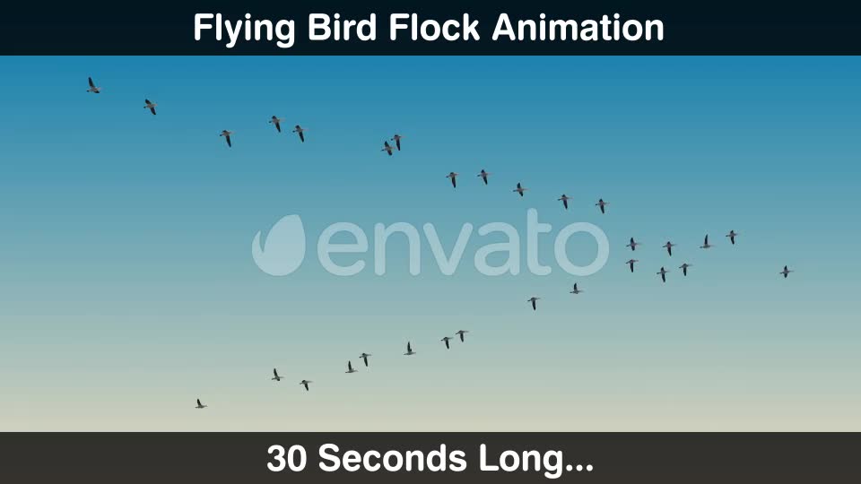 Bird Flock Videohive 22669810 Motion Graphics Image 2