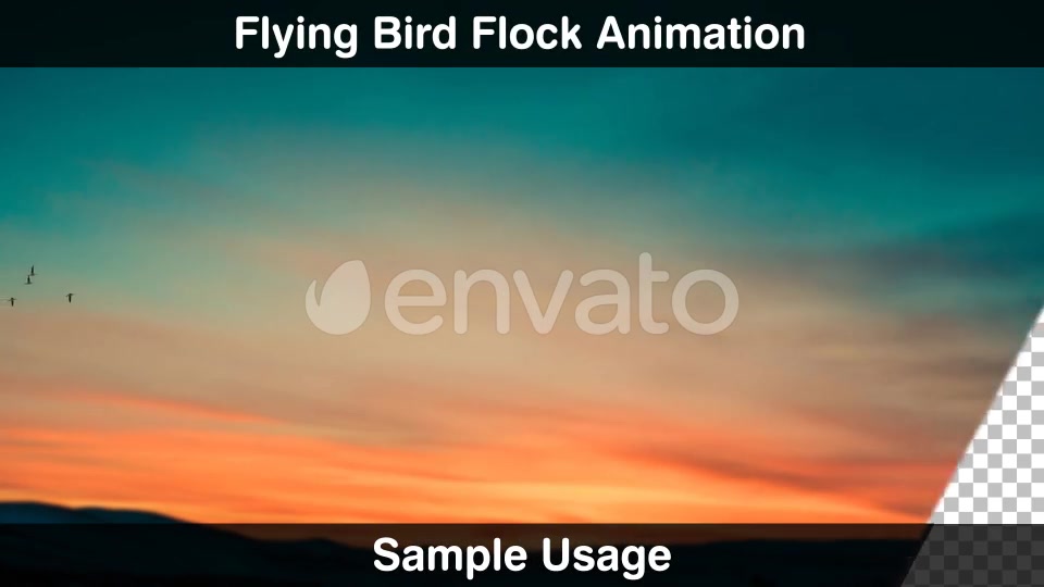 Bird Flock Videohive 22669810 Motion Graphics Image 5