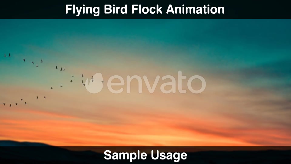 Bird Flock Videohive 22669810 Motion Graphics Image 6