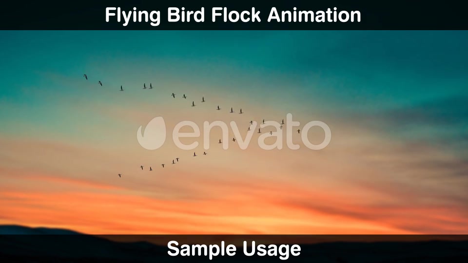 Bird Flock Videohive 22669810 Motion Graphics Image 7