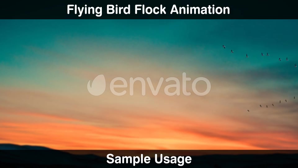 Bird Flock Videohive 22669810 Motion Graphics Image 9
