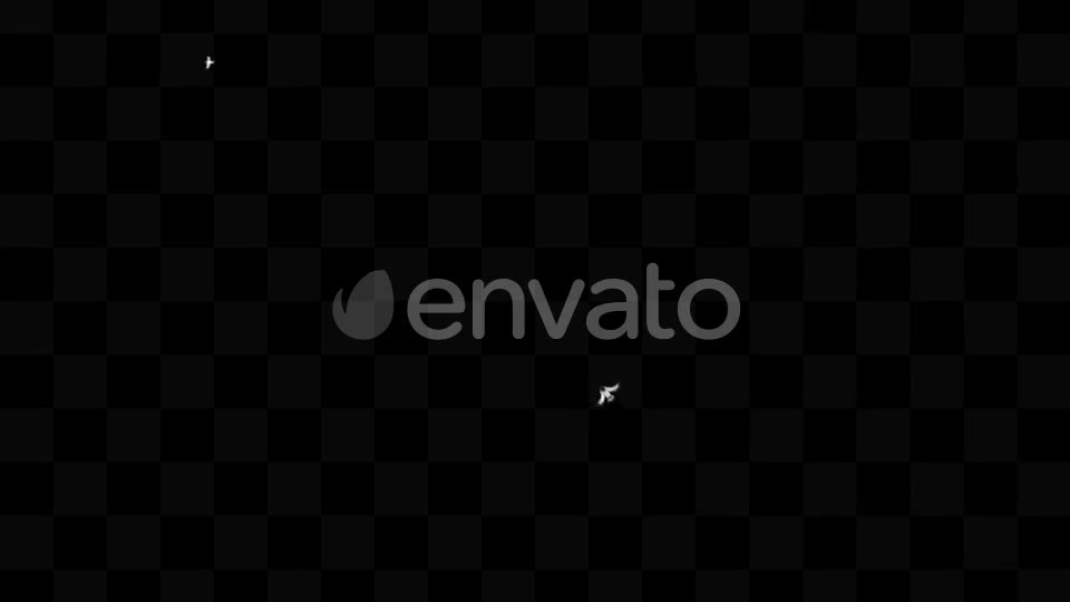 Bird Pack Videohive 21779512 Motion Graphics Image 11