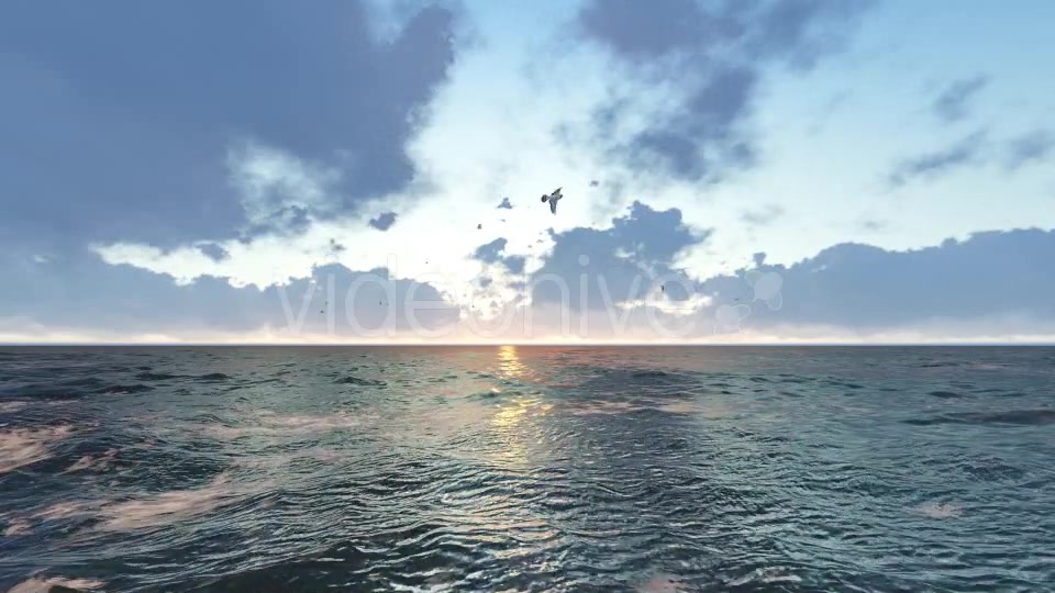 Birds on Ocean Videohive 19230033 Motion Graphics Image 7