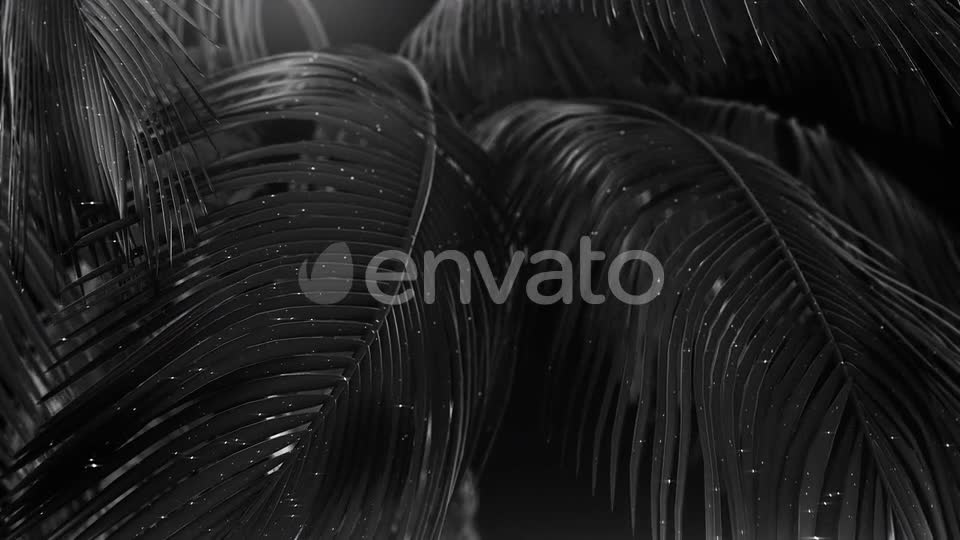 Black Abstract Palms with Glitter Videohive 23249615 Motion Graphics Image 1