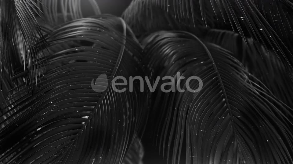 Black Abstract Palms with Glitter Videohive 23249615 Motion Graphics Image 10
