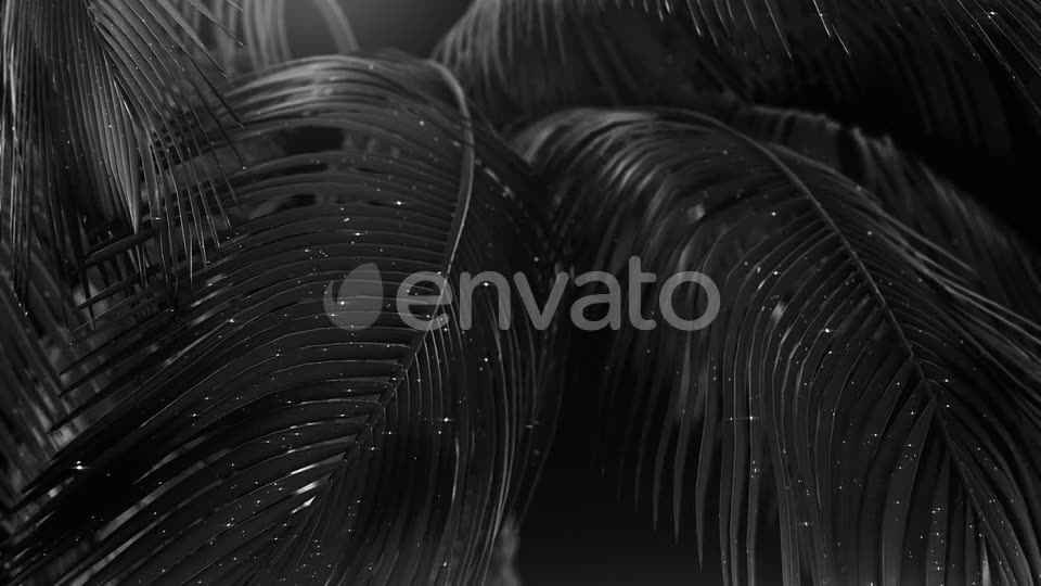 Black Abstract Palms with Glitter Videohive 23249615 Motion Graphics Image 11