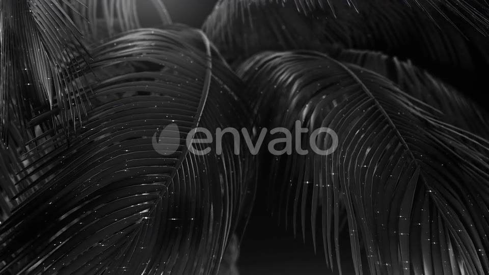 Black Abstract Palms with Glitter Videohive 23249615 Motion Graphics Image 2