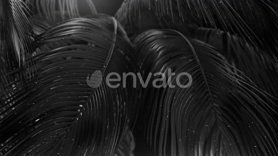 Black Abstract Palms with Glitter Videohive 23249615 Motion Graphics Image 3