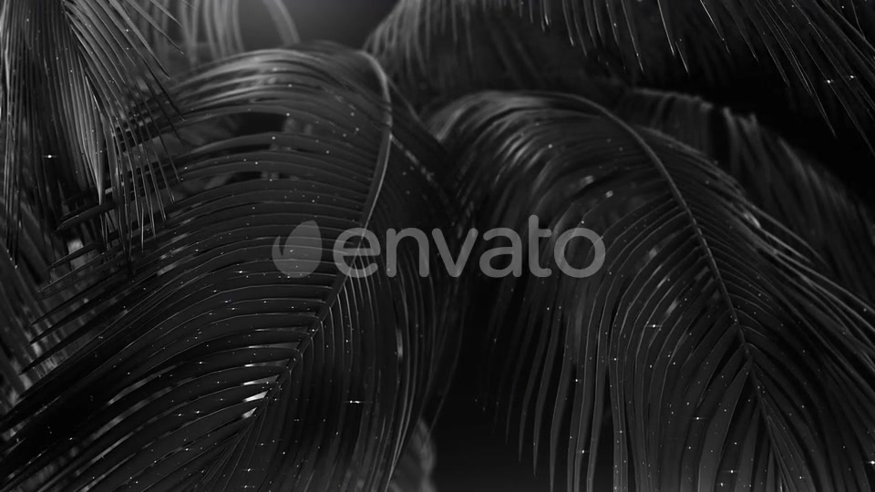 Black Abstract Palms with Glitter Videohive 23249615 Motion Graphics Image 4