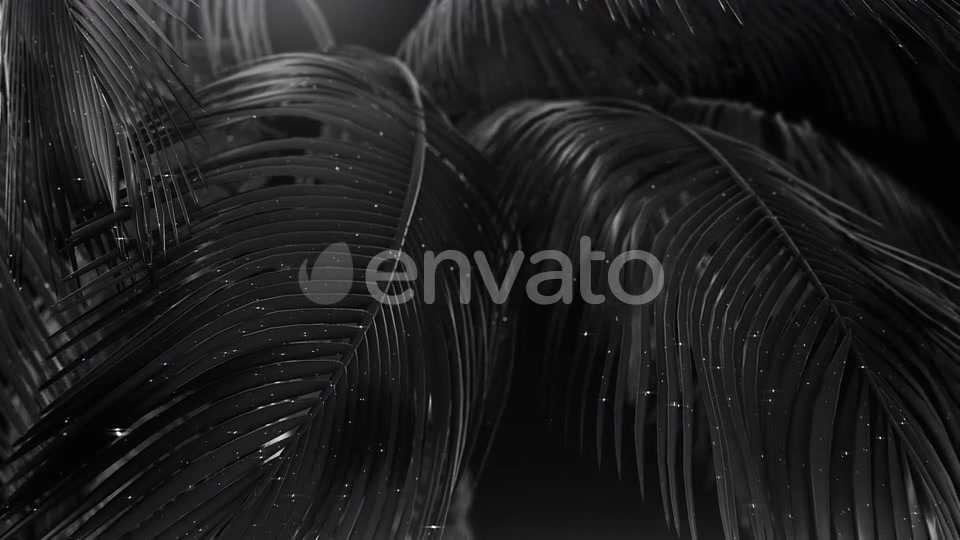 Black Abstract Palms with Glitter Videohive 23249615 Motion Graphics Image 5