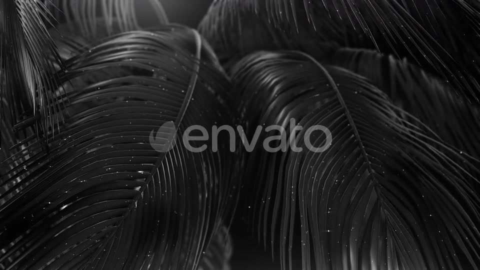 Black Abstract Palms with Glitter Videohive 23249615 Motion Graphics Image 6