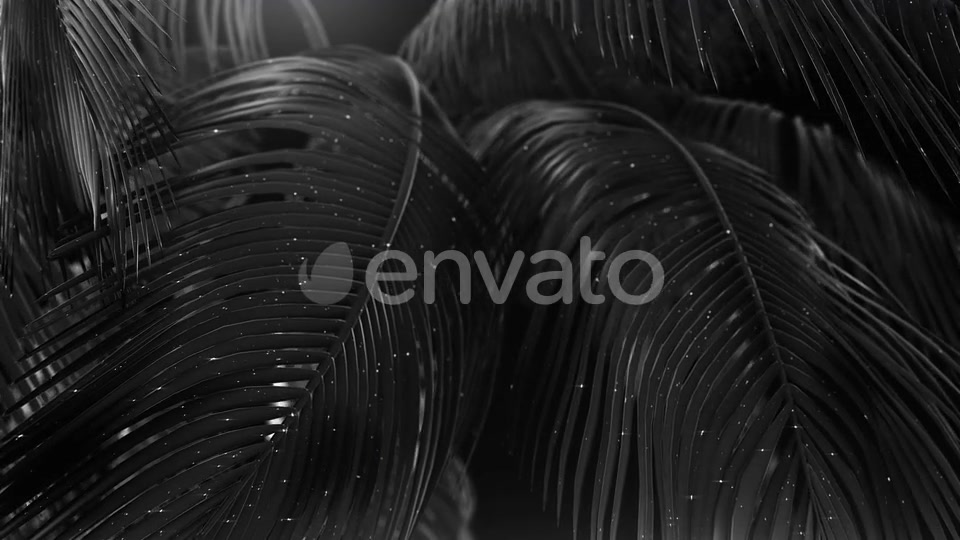 Black Abstract Palms with Glitter Videohive 23249615 Motion Graphics Image 7