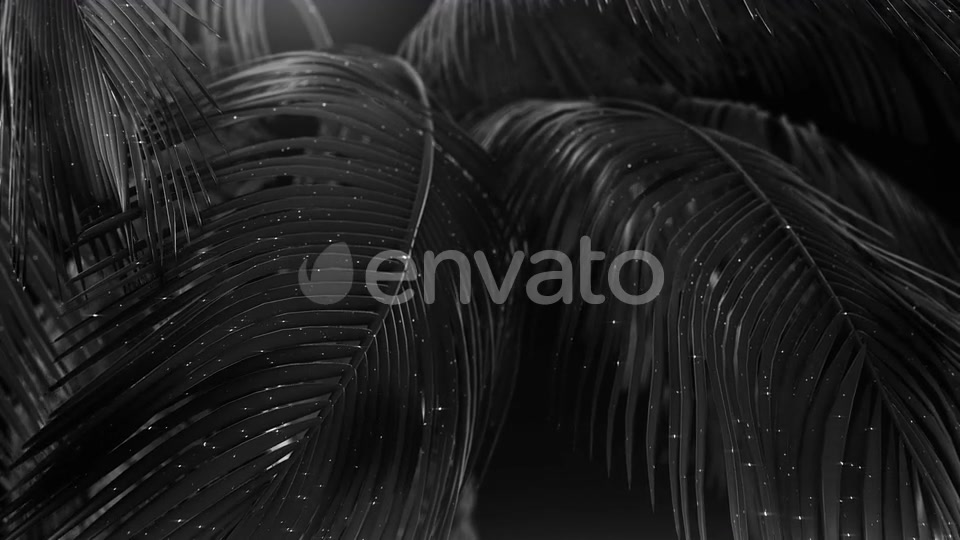 Black Abstract Palms with Glitter Videohive 23249615 Motion Graphics Image 8