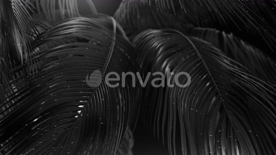Black Abstract Palms with Glitter Videohive 23249615 Motion Graphics Image 9