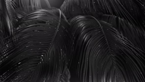Black Abstract Palms with Glitter - Videohive Download 23249615