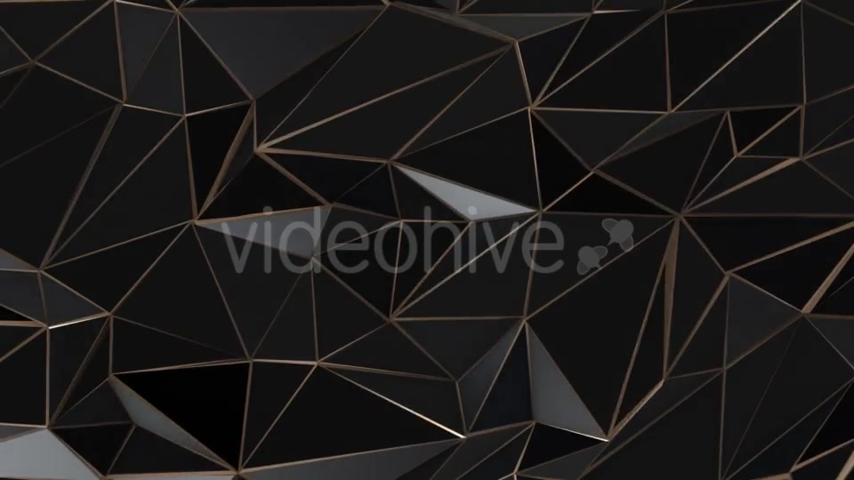 Black and Gold Abstract Low Poly Triangle Background Videohive 21529930 Motion Graphics Image 12