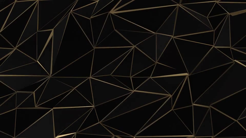 Black and Gold Abstract Low Poly Triangle Field Videohive 21507841 Motion Graphics Image 5