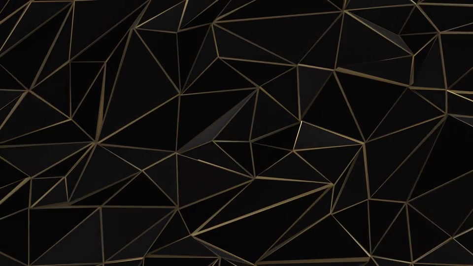 Black and Gold Abstract Low Poly Triangle Field Videohive 21507841 Motion Graphics Image 7