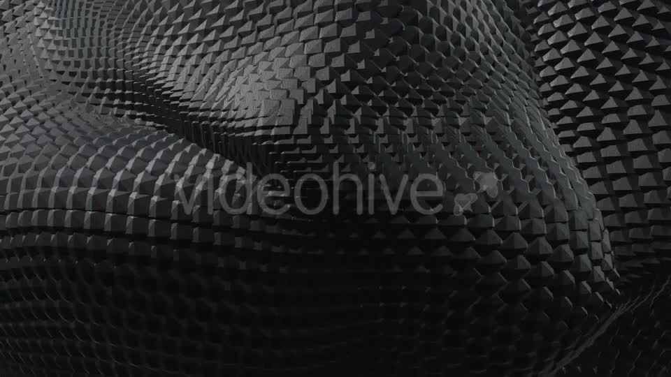 Black and White Boa Background Pack (2 videos) Videohive 21568311 Motion Graphics Image 1