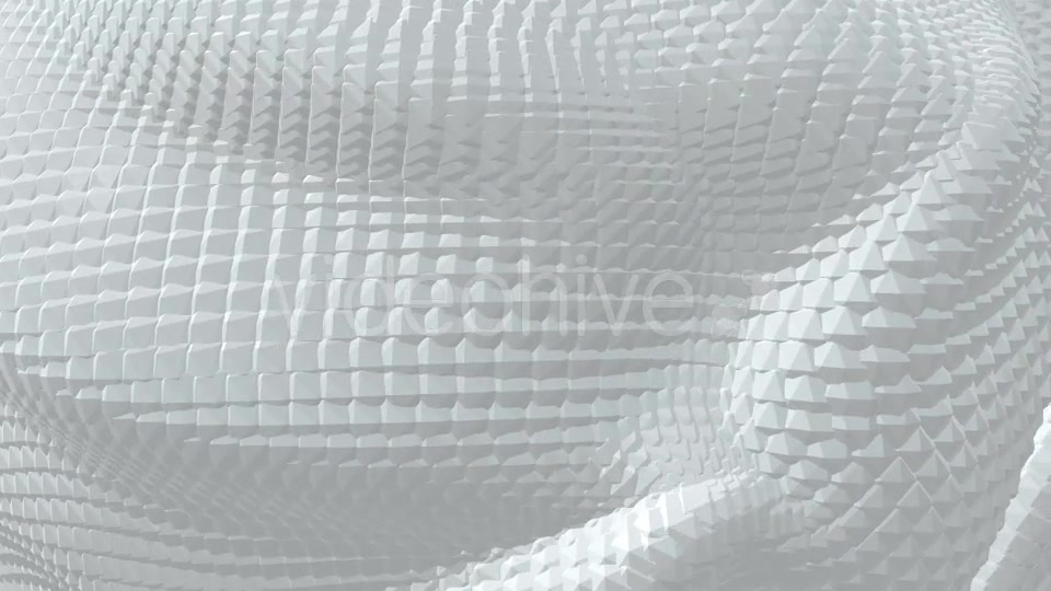 Black and White Boa Background Pack (2 videos) Videohive 21568311 Motion Graphics Image 10