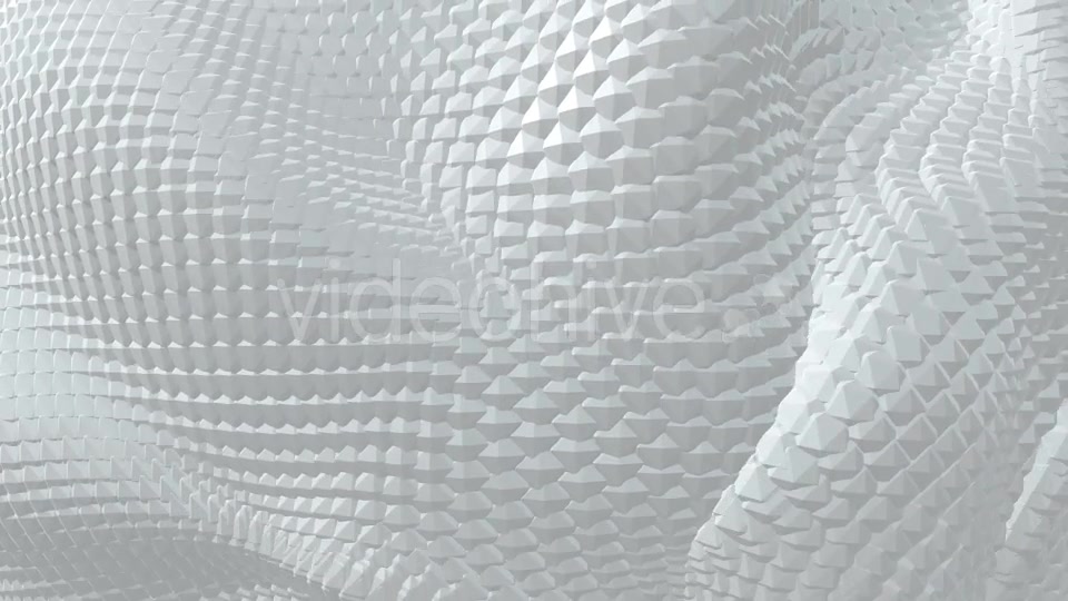 Black and White Boa Background Pack (2 videos) Videohive 21568311 Motion Graphics Image 11