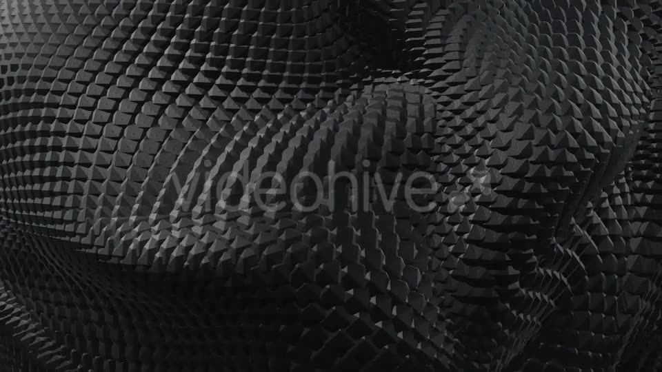 Black and White Boa Background Pack (2 videos) Videohive 21568311 Motion Graphics Image 2