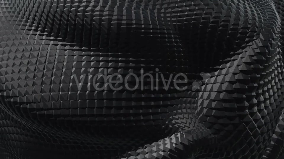 Black and White Boa Background Pack (2 videos) Videohive 21568311 Motion Graphics Image 4