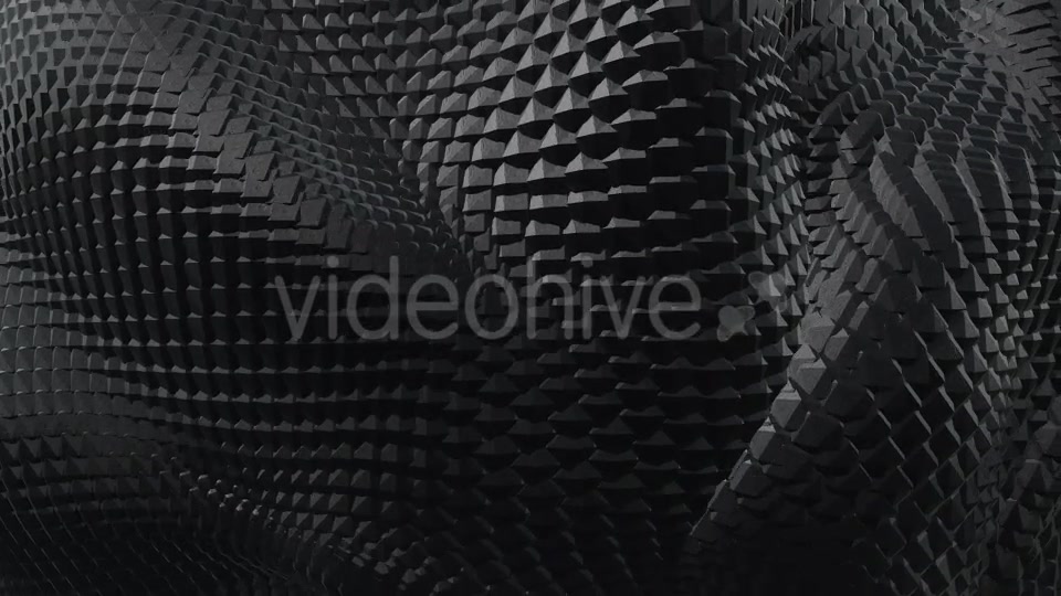 Black and White Boa Background Pack (2 videos) Videohive 21568311 Motion Graphics Image 5