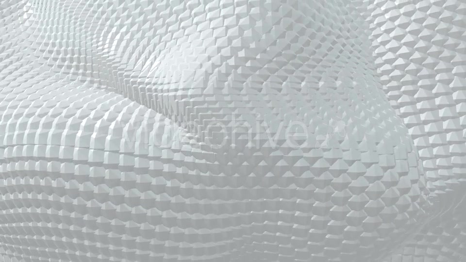 Black and White Boa Background Pack (2 videos) Videohive 21568311 Motion Graphics Image 7