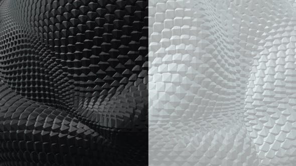 Black and White Boa Background Pack (2 videos) - 21568311 Download Videohive