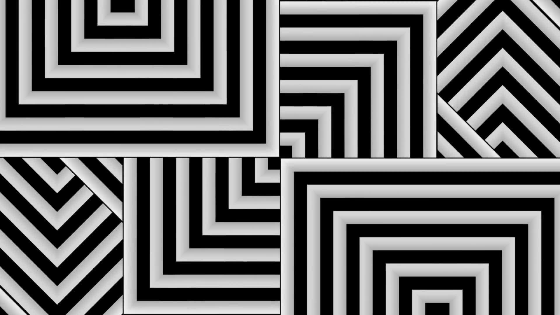 Black And White Pattern VJ Loops Background Videohive 24238632 Motion Graphics Image 2