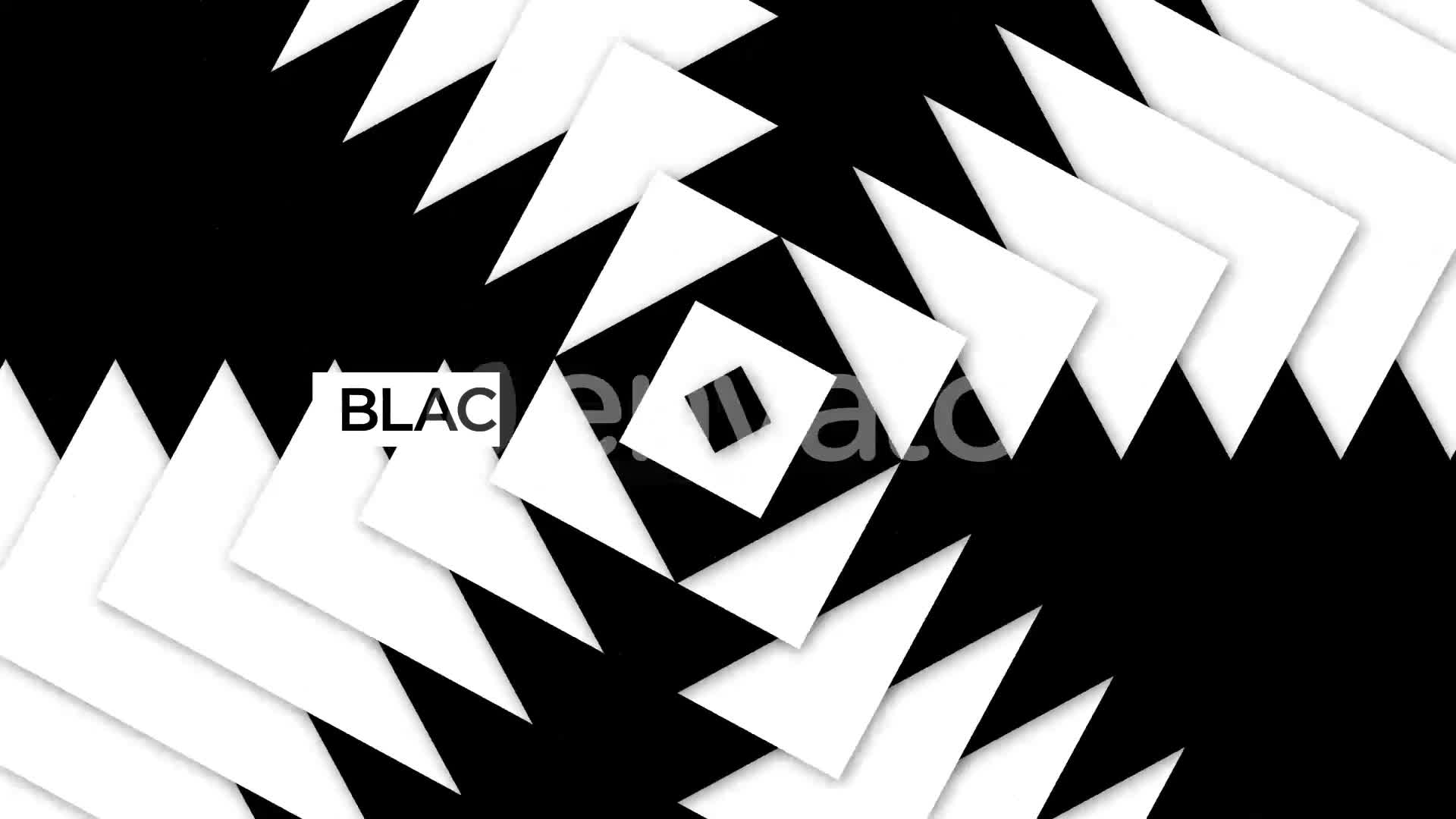 Black And White Shape VJ Loops Background Videohive 22459574 Motion Graphics Image 1