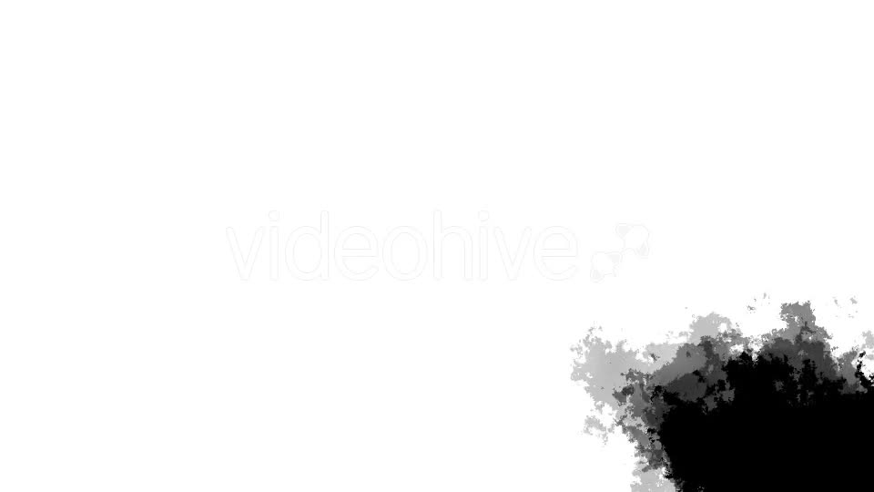Black And White Transitions Videohive 15407355 Motion Graphics Image 1
