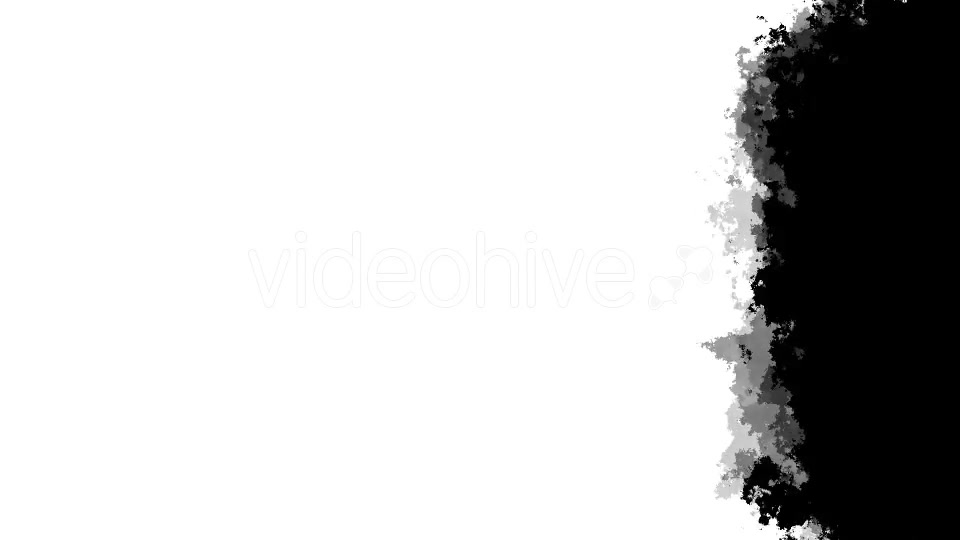Black And White Transitions Videohive 15407355 Motion Graphics Image 3