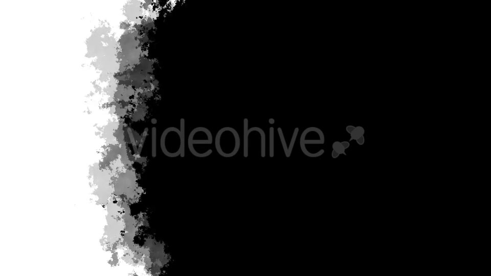 Black And White Transitions Videohive 15407355 Motion Graphics Image 4