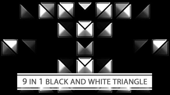 Black And White Triangle - 22002537 Download Videohive