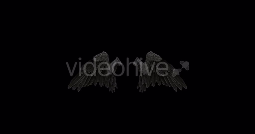 Black Angel Wings With An Alpha Channel Videohive 18603305 Motion Graphics Image 1