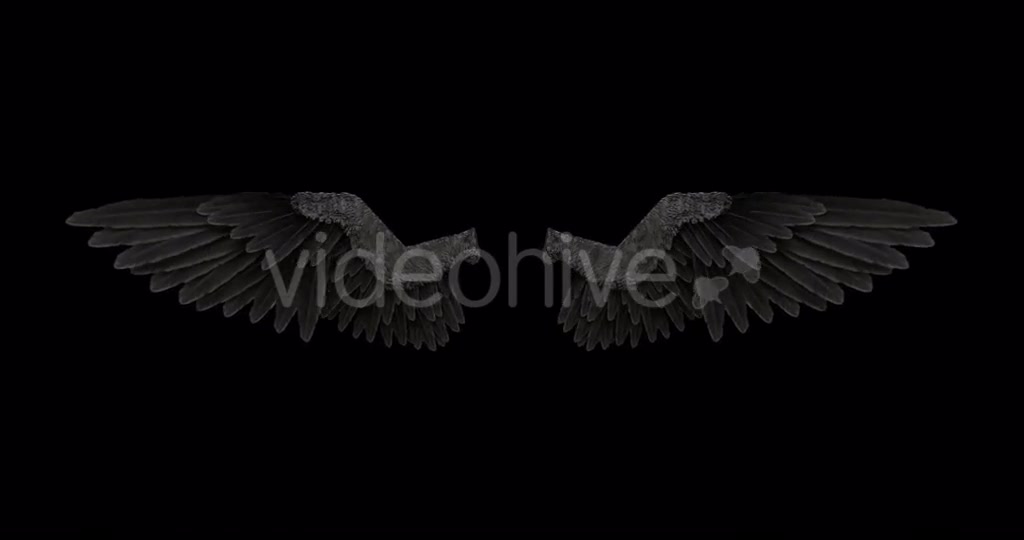 Black Angel Wings With An Alpha Channel Videohive 18603305 Motion Graphics Image 2