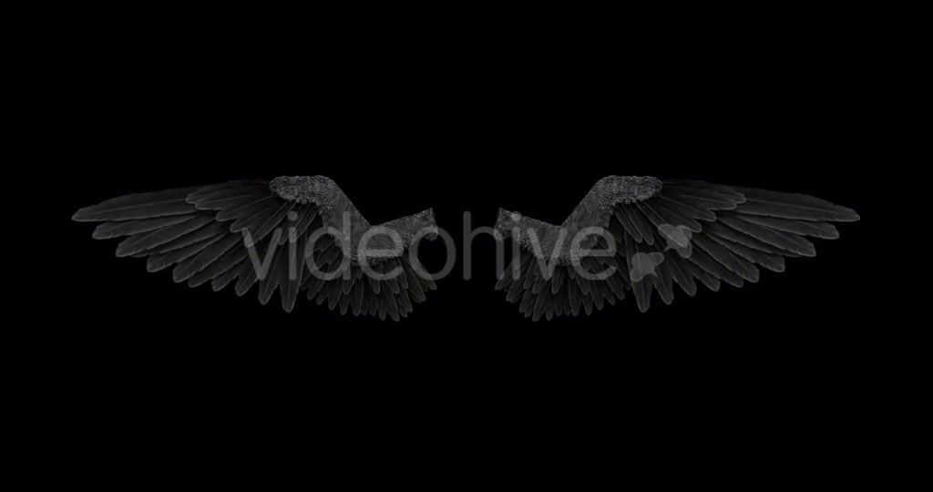 Black Angel Wings With An Alpha Channel Videohive 18603305 Motion Graphics Image 3