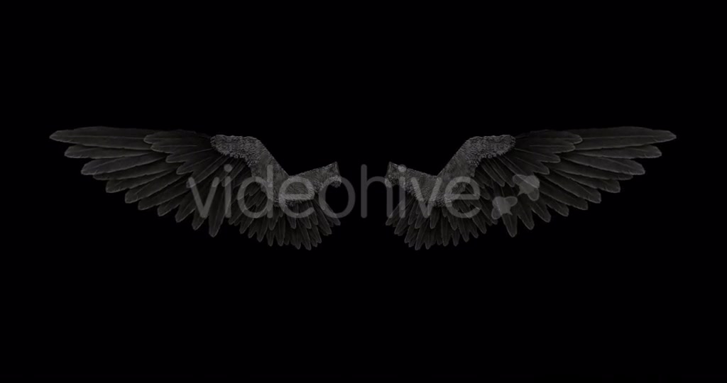 Black Angel Wings With An Alpha Channel Videohive 18603305 Motion Graphics Image 4