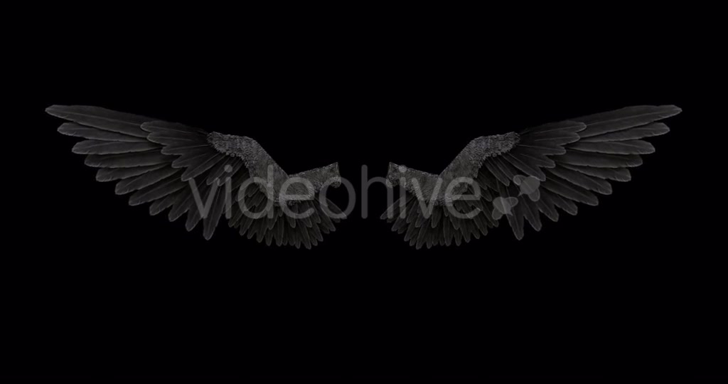 Black Angel Wings With An Alpha Channel Videohive 18603305 Motion Graphics Image 5