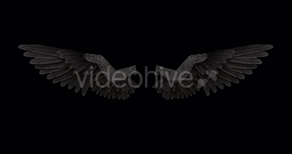 Black Angel Wings With An Alpha Channel Videohive 18603305 Motion Graphics Image 6