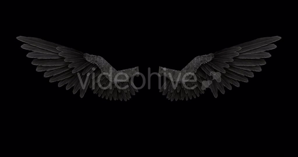 Black Angel Wings With An Alpha Channel Videohive 18603305 Motion Graphics Image 7