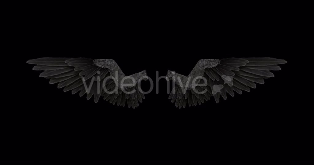 Black Angel Wings With An Alpha Channel Videohive 18603305 Motion Graphics Image 8