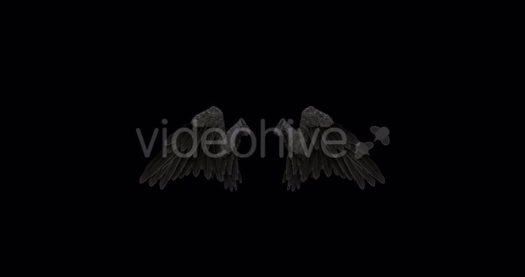 Black Angel Wings With An Alpha Channel Videohive 18603478 Motion Graphics Image 1