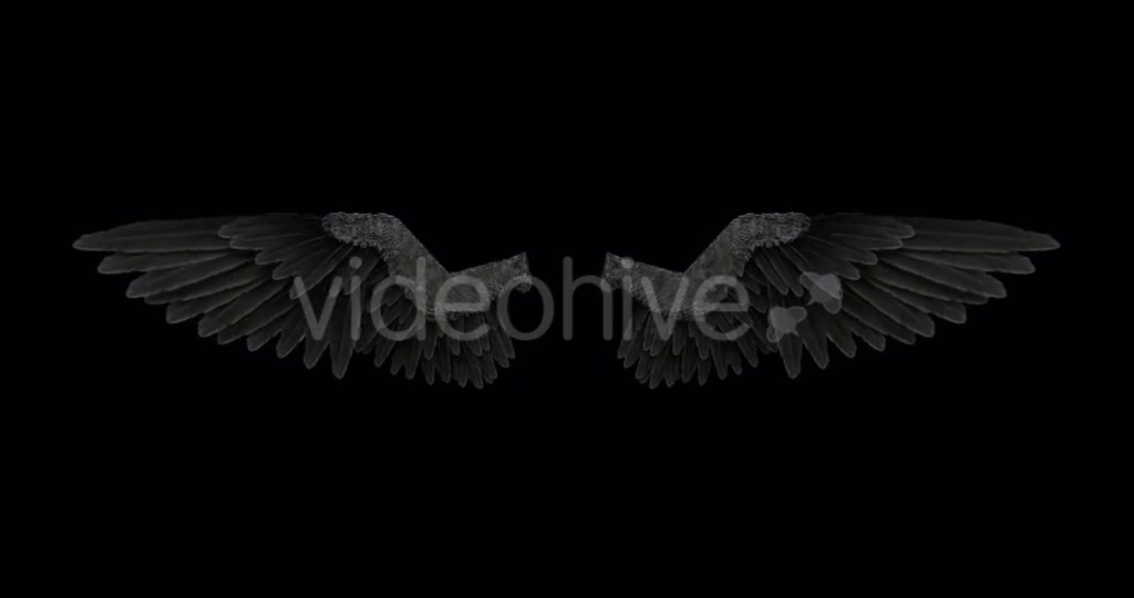 Black Angel Wings With An Alpha Channel Videohive 18603478 Motion Graphics Image 2